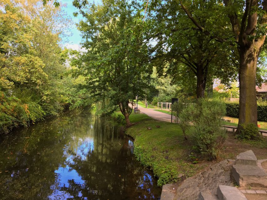 Innerstädtische Parkanlage entlang der Ems (lizenziertes Stockfoto) Eine innerstädtische Parkanlage mit vielen Bäumen entlang der Ems in der Rietberger Innenstadt