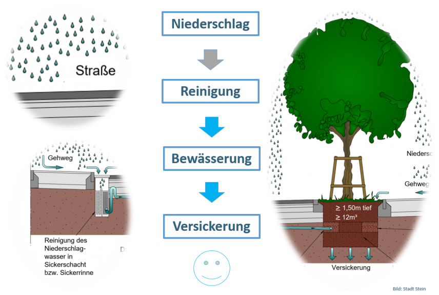 Funktion einer Baumrigole (Stadt Stein) Funktion einer Baumrigole (Stadt Stein)