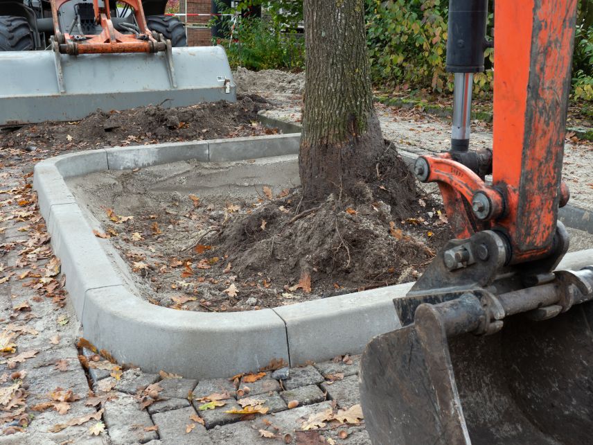 Bauarbeiten der Flächenentsiegelung. Quelle: AdobeStock Fotos Zu sehen ist eine neue Gehweg Einfassung eines Baumes. Darum stehen Bagger, die den Straßenbelag aus Steinen aufarbeiten.