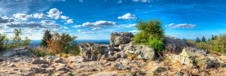 Im Vordergrund ist eine Felsformation zu sehen. Im Hintergrund erstreckt sich hügeliger Wald und ein blauer Himmel.