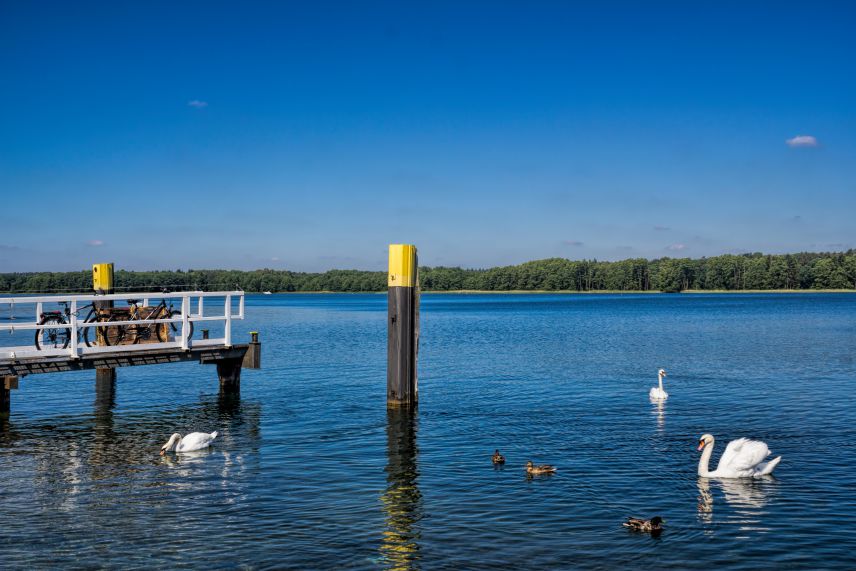 Werbellinsee im Kreis Barnim. Quelle: Adobe Stock 237030630 See mit Steg links und einem Mast mittig im Bild. Auf dem See schwimmen Schwäne. Auf dem Steg stehen Fahrräder.