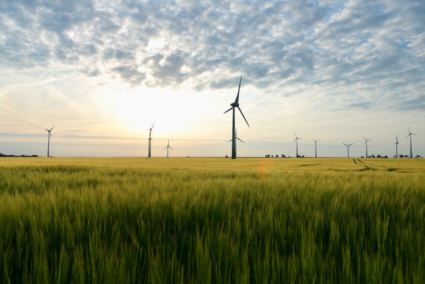 Windpark als mögliche erneuerbare Energiequelle. Quelle: AdobeStock Fotos Windpark auf offenem, weitem Feld