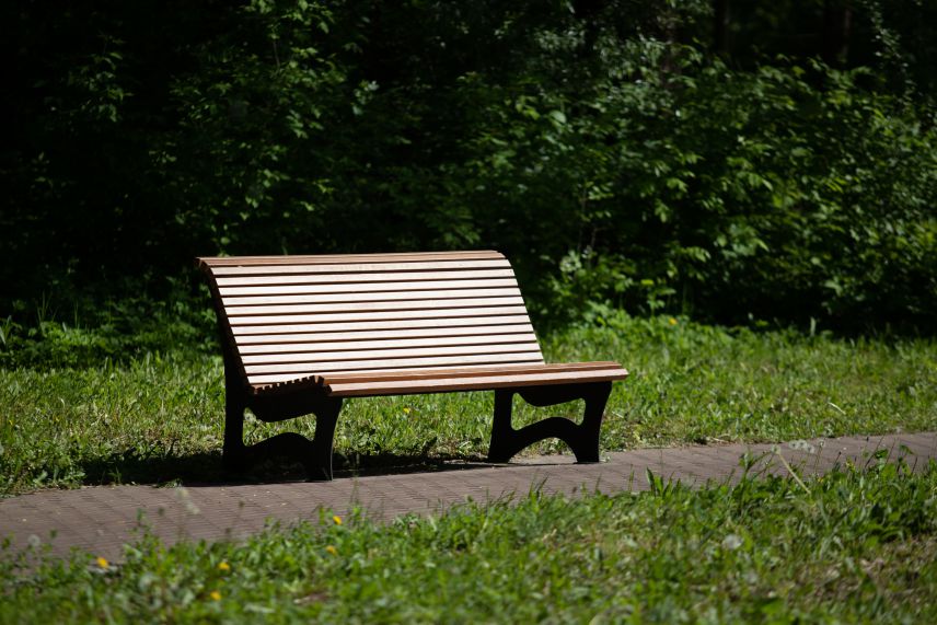 Sitzbank. Quelle: Adobe Stock 556401961 Sitzbank im Park zwischen Gebüsch und Gehweg