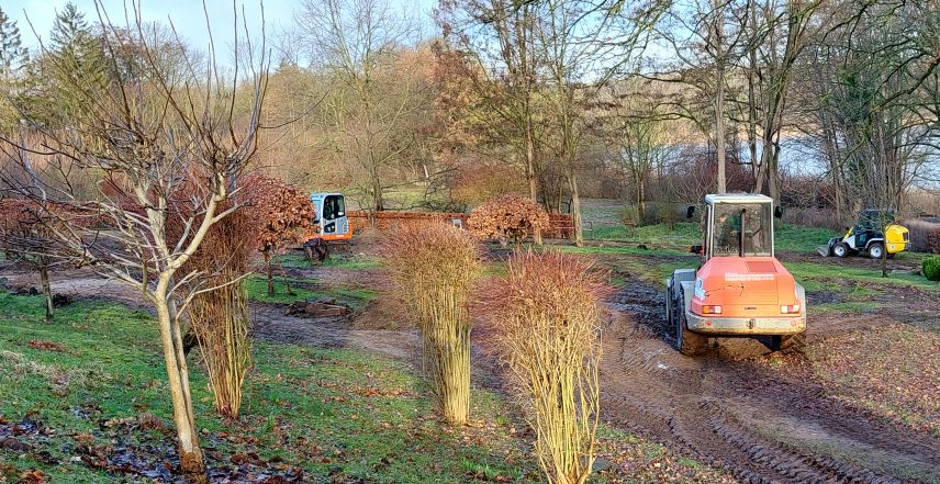 Bauarbeiten während der Umgestaltung. Foto: Markus Kaminski Zu sehen ist eine Gartenfläche, die sich in der Umgestaltung befindet. Daher sind teile der Grasfläche durchbrochen von frischer Erde. Im Vordergrund sind Büsche ohne Laub zu sehen. Auch im Hintergrund stehen Bäume und Büsche, die kein Laub tragen, da es Winter ist. Präsent ist auf der rechten Bildhälfte ein kleiner Bagger. Ein weiterer ist links im Hintergrund zu sehen.