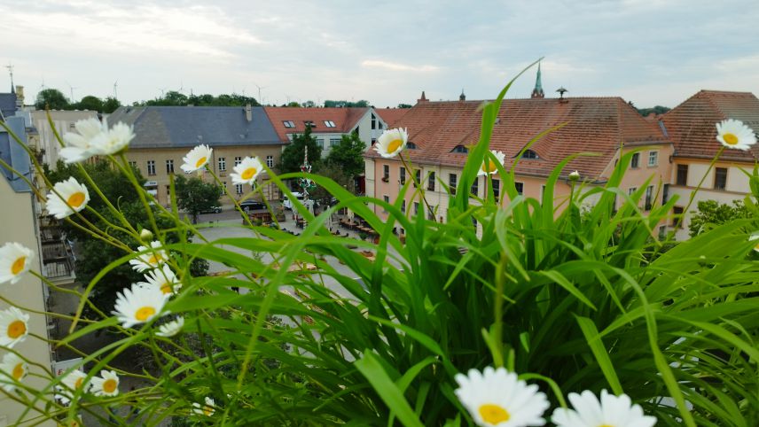 Bernau blüht (Stadt Bernau) Bernau blüht (Stadt Bernau)