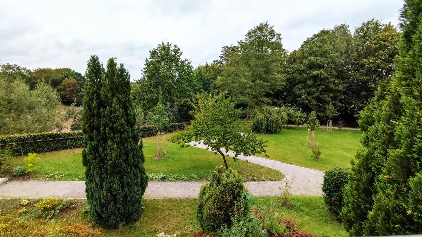 Ergebnis der Neugestaltung des Außengeländes. Foto: Markus Kaminski Eine grüne, leicht abschüssige Parkfläche ist zu sehen. Ein breiter Kiesweg schlängelt sich von links nach hinten durch den Park. Sowohl im Vorder- als auch im Hintergrund sind große, grüne Büsche und Bäume zu sehen. Der Park sieht gepflegt aus.