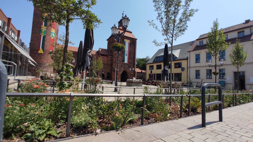Begrünter Steintorplatz (Stadt Bernau) Begrünter Steintorplatz (Stadt Bernau)