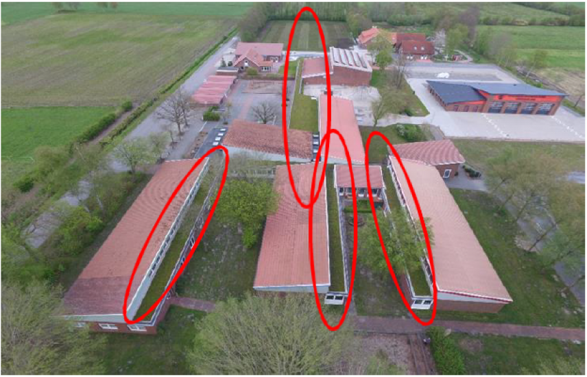 mehre Gebäude einer Grundschule sind zu sehen. Die Anpasssungsmaßnahmen sind durch rote Ovale auf dem Bild hervorgehoben. Diese sind vor allem Dachbegrünungen und neue Fenster an einer Fassade.