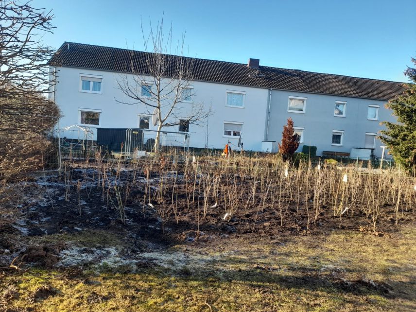 Miniwald, Quelle: Kreis Euskirchen Kleiner Wald