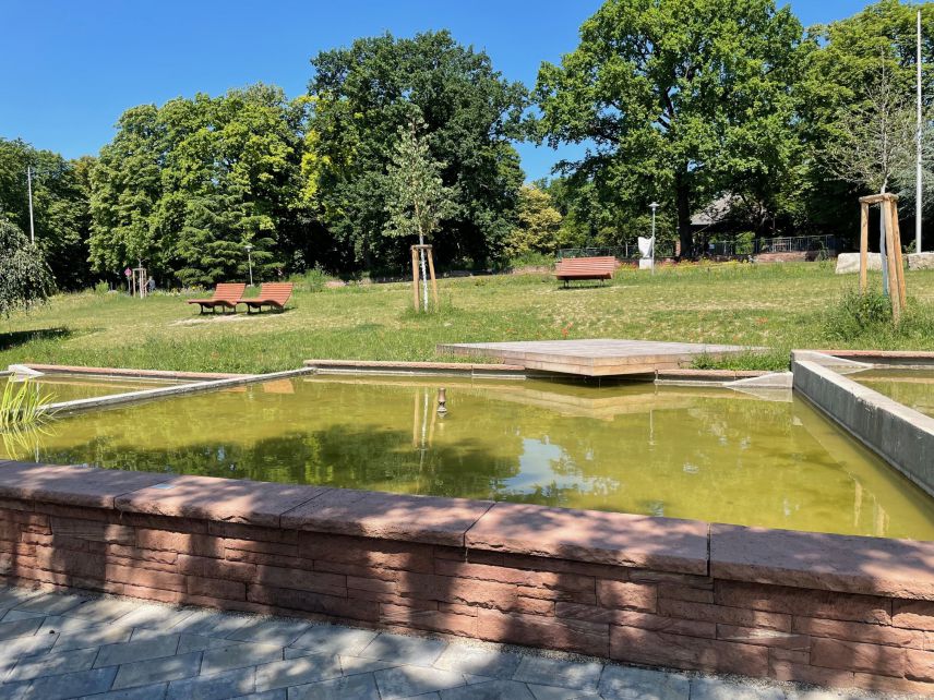 Die umgestaltete Teichanlage bietet viel Platz für die Wechselkröte und trägt damit zu Kühlung und Biodiversität bei. Quelle: Stadt Wiesloch. Angelegter Teich mit Park und Bänken im Hintergrund.
