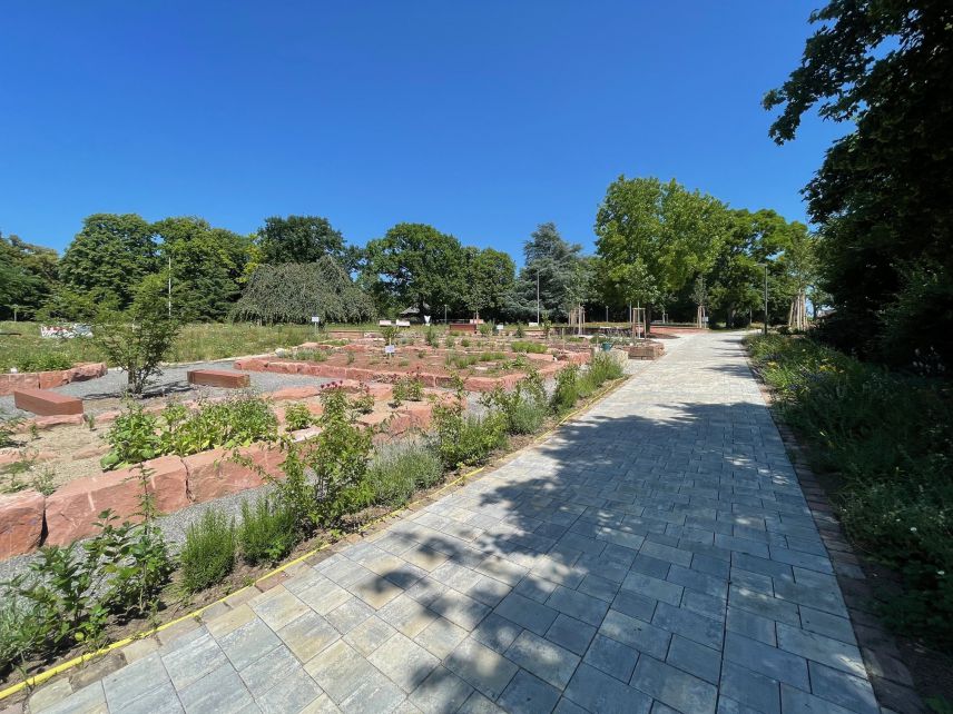 Die neuen Beete geben Raum für einen Kräutergarten. Quelle: Stadt Wiesloch. Schotterweg mit Beeten an der Seite im Park.