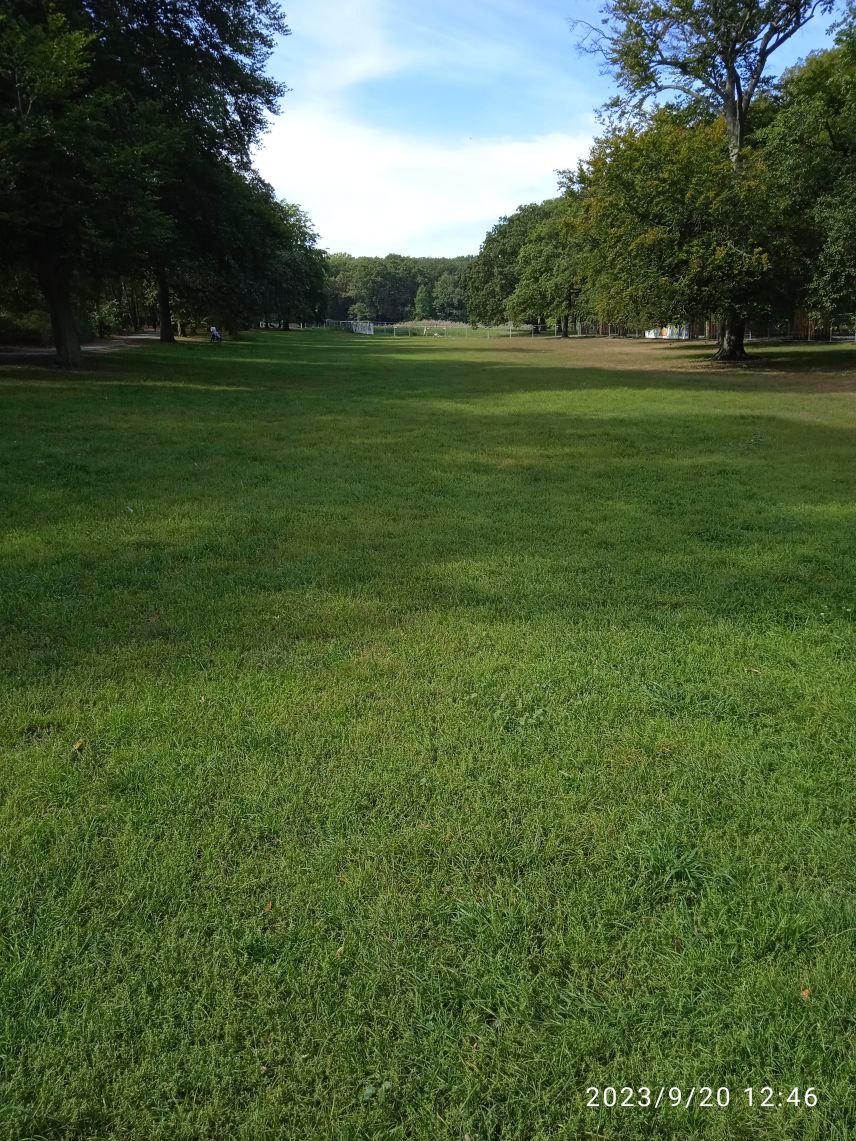 Berlin Volkspark Jungfernheide Wiese 2023 Berlin Volkspark Jungfernheide Wiese 2023