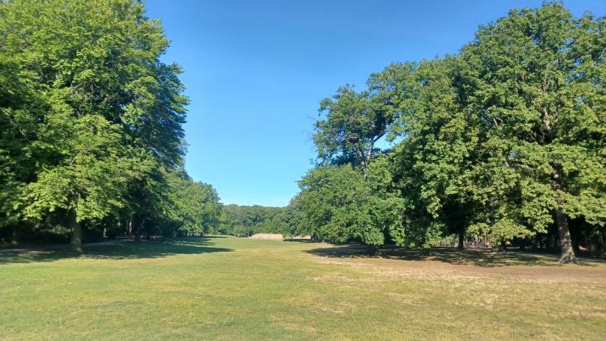 Berlin Volkspark Jungfernheide Wiese Mai 2025 Berlin Volkspark Jungfernheide Wiese Mai 2025
