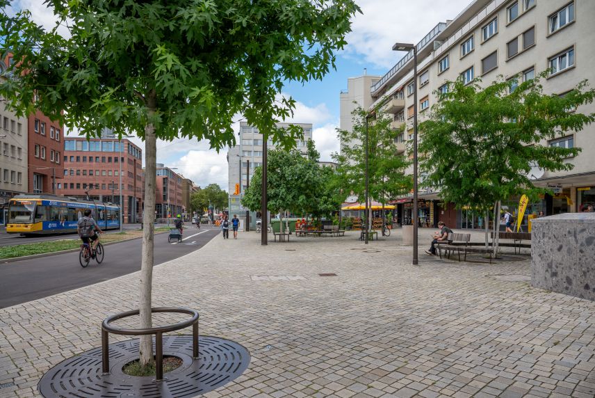 Junge Stadtbäume auf einem innerstädtischen Platz.