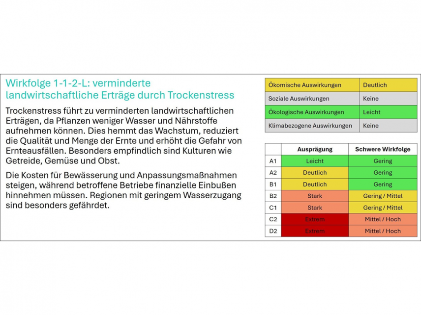 Dashboard mit verschiedenen Kategorien, unterschiedlich farblich gekennzeichnet.