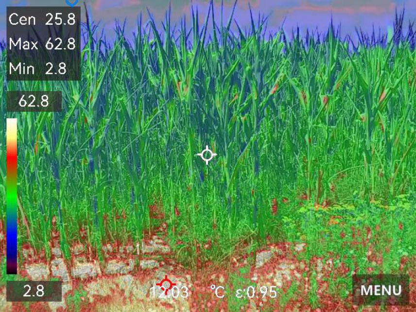 Aufnahme mit Handthermalkamera (zur gleichen Zeit) 