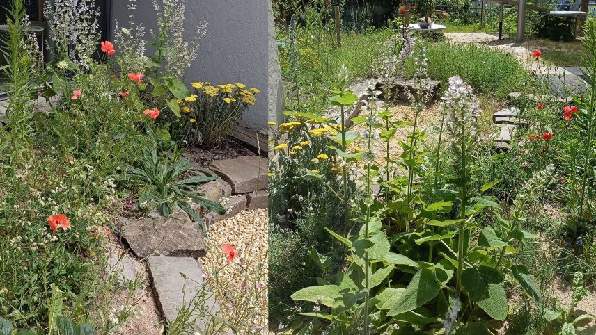 Ein mit Kies und Sand gefüllter Bereich umgeben von Sträuchern und Wildblumen. Holzelemente bieten einen Rahmen.