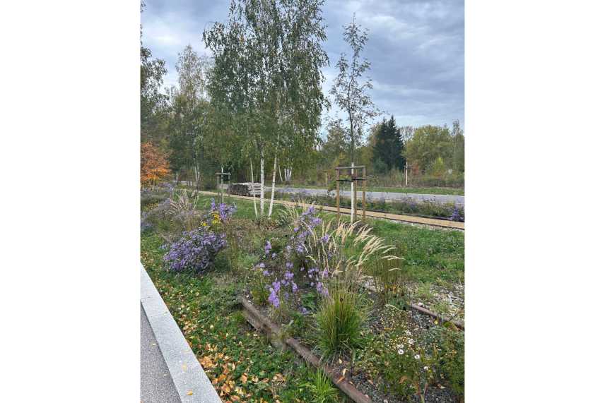 Bepflanzung (Quelle: Stadt Chemnitz)