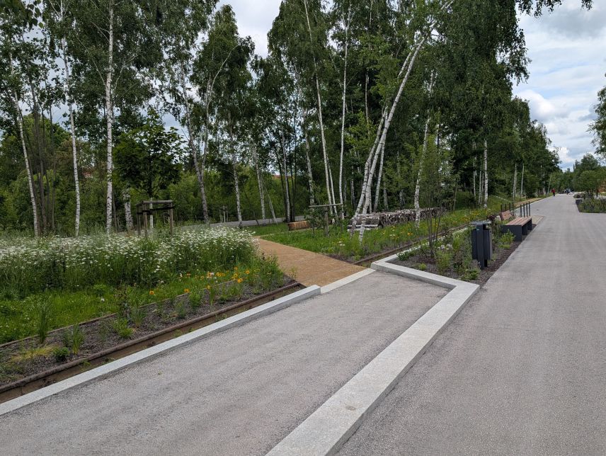 Begrünung stillgelegter Gleisanlagen (Quelle: Stadt Chemnitz)