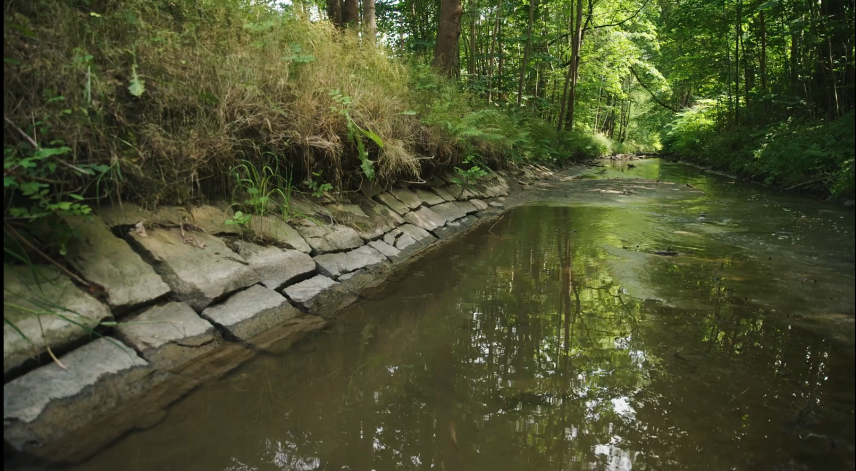 Pleißenbach (Quelle: Cue Media)