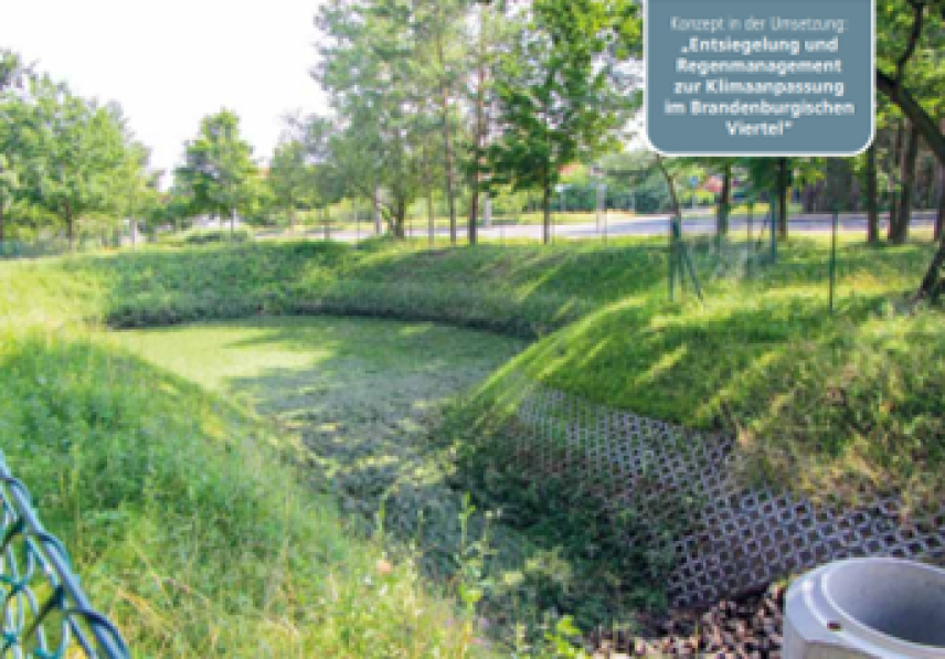 Versickerungsbecken (Quelle: Stadt Eberswalde)