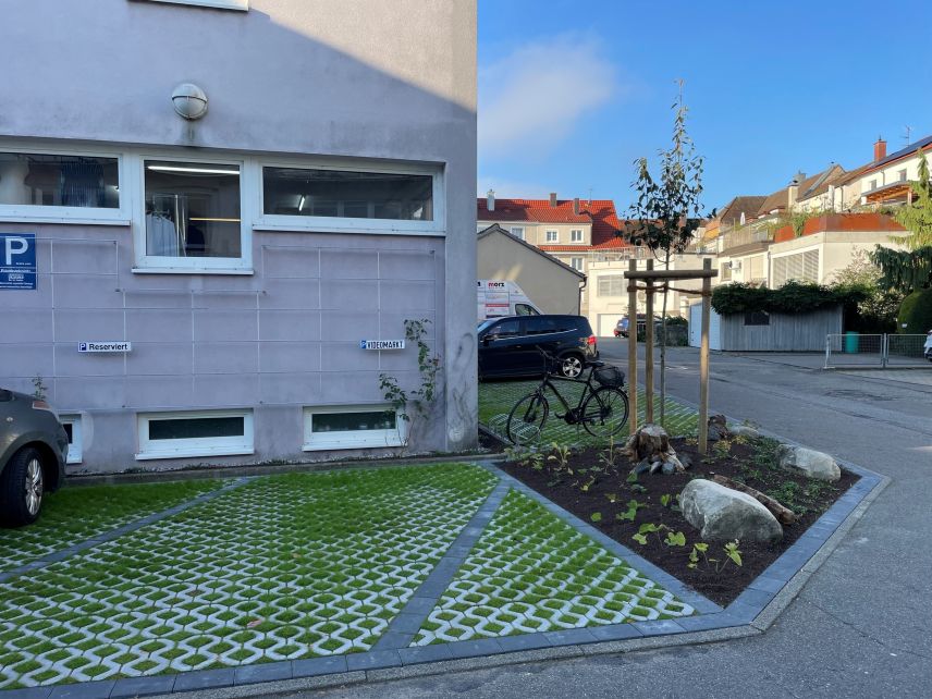 Zu sehen ist ein entsiegelter, grüner Parkplatz vor einer Hauswand. Am Rand ist ein Beet mit einem jungen Baum und kleinen Pflanzen. An der Hauswand wächst eine Kletterrose.