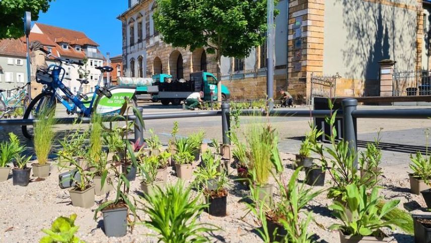 Entsieglung des Untertorplatzes (Quelle: Stadt Landau in der Pfalz)