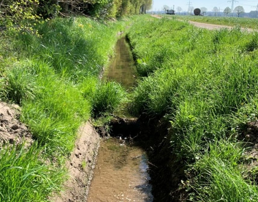 Ein an beiden Seiten grün bewachsener Graben ist zu sehen. In der Mitte ist ein grün bewachsener Übergang zur jeweils anderen Seite.